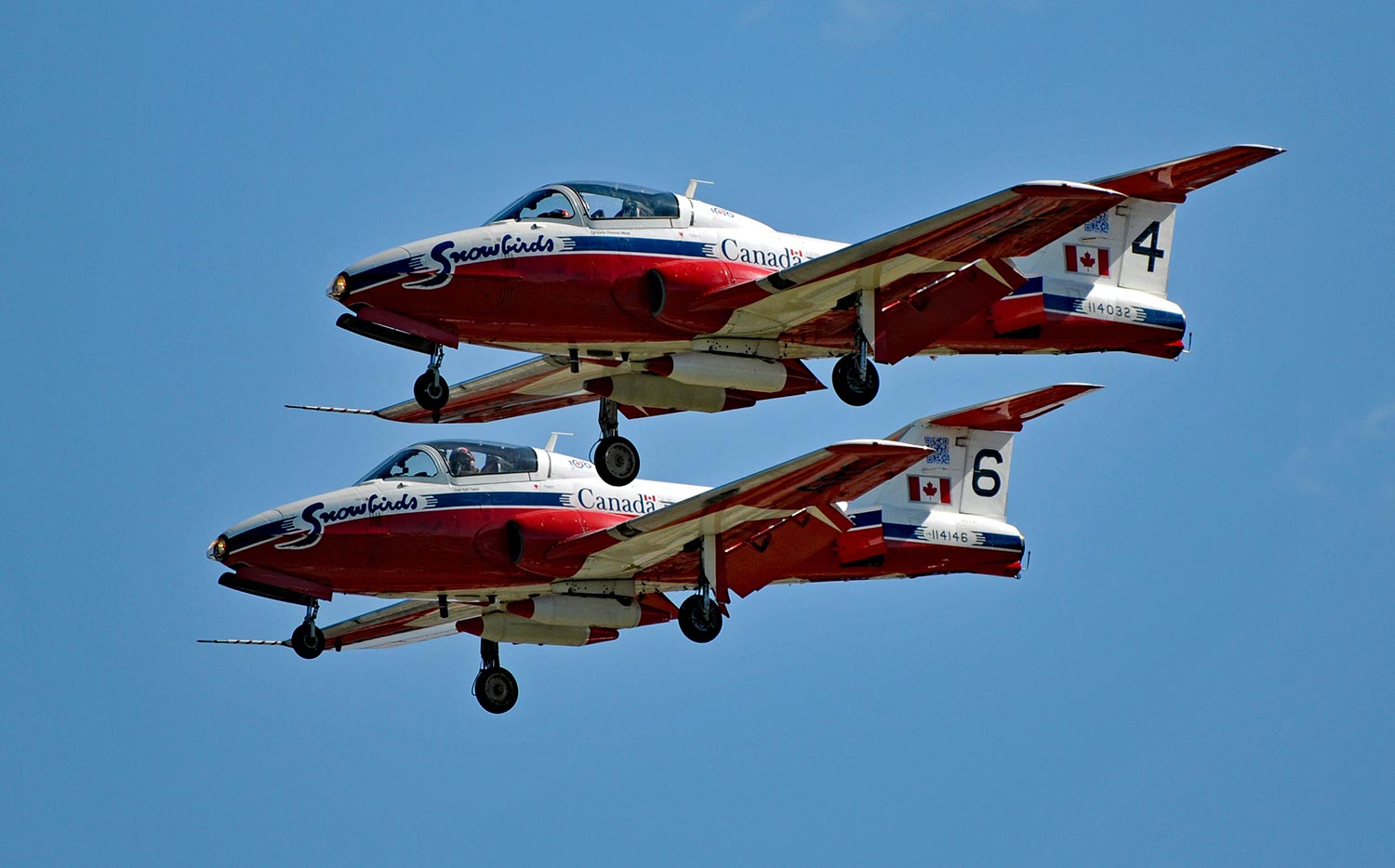 snowbirds Snowbirds flying